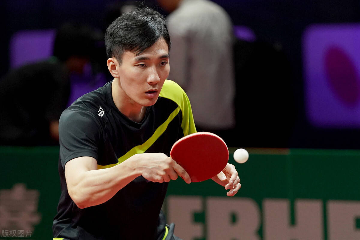 乒乓板排名_男子乒乓世界排名(3)