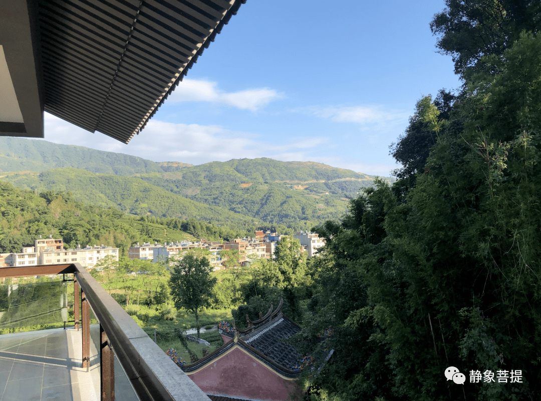 静象·福鼎溪南古寺 | 茶山掩映中的生机与美