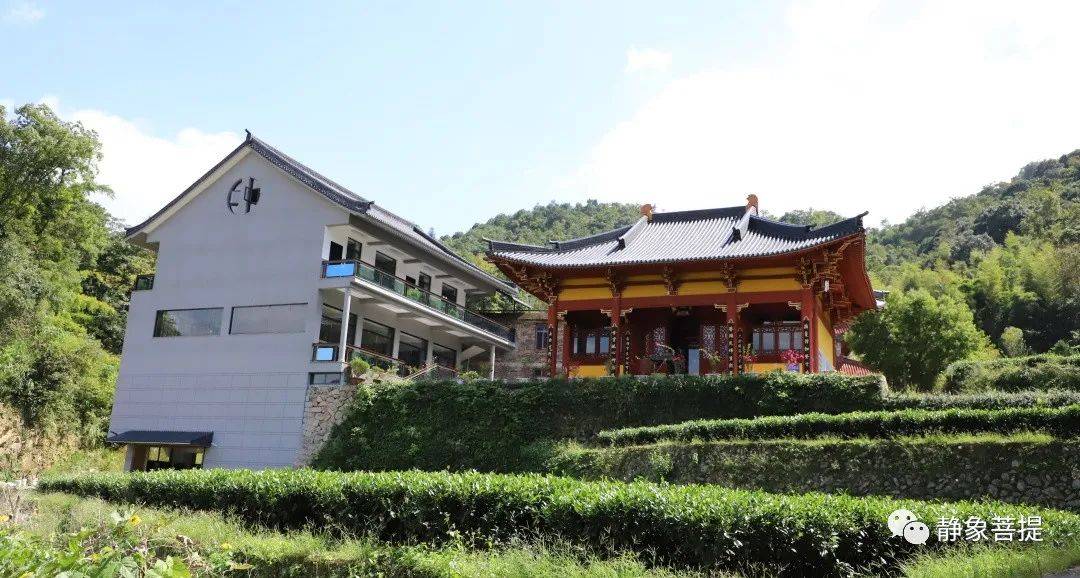 静象·福鼎溪南古寺 | 茶山掩映中的生机与美