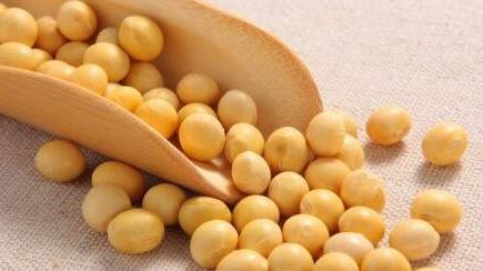 三高吃什么食物最好降得快 1d64ca1240f642deb96891fbe8789528.jpeg