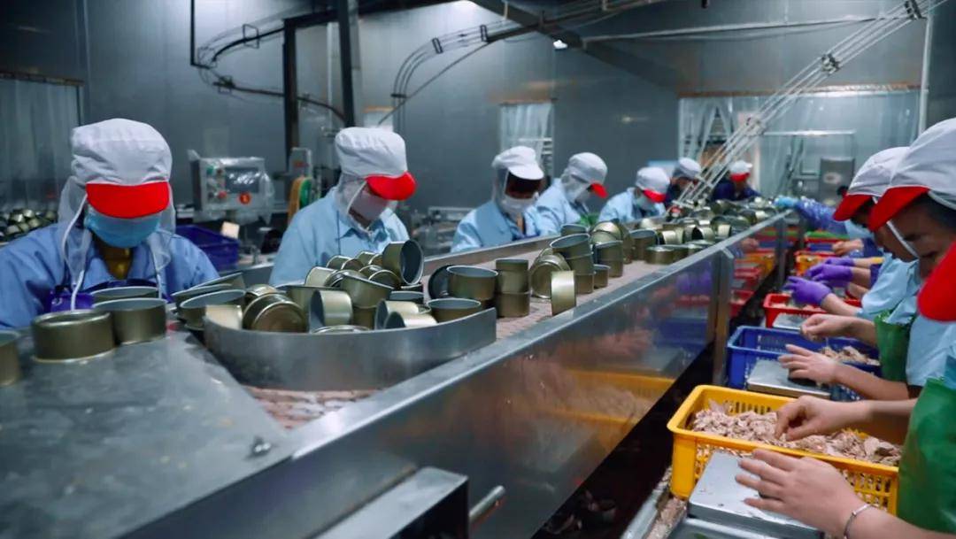 罐头生产36年,来自“中国罐头之都”的萌冠宠食了解下 罐头生产36年,来自“中国罐头之都”的萌冠宠食了解下