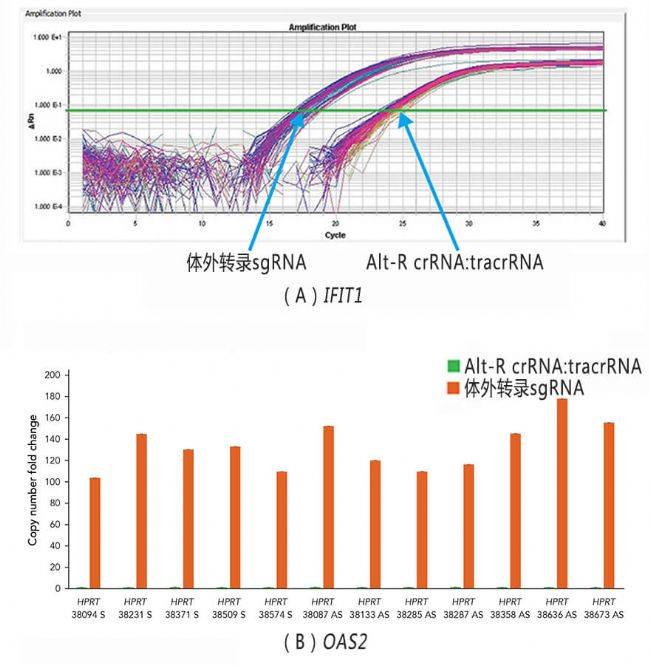 评测idtaltrcrisprcas9基因编辑系统