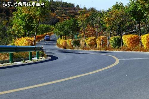 正是踏青好季节，秦皇岛这条最美公路的沿途风景你一定不能不了解