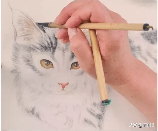 猫的画法大全国画简单 e8d288ab97484605897d202453f4a473.png