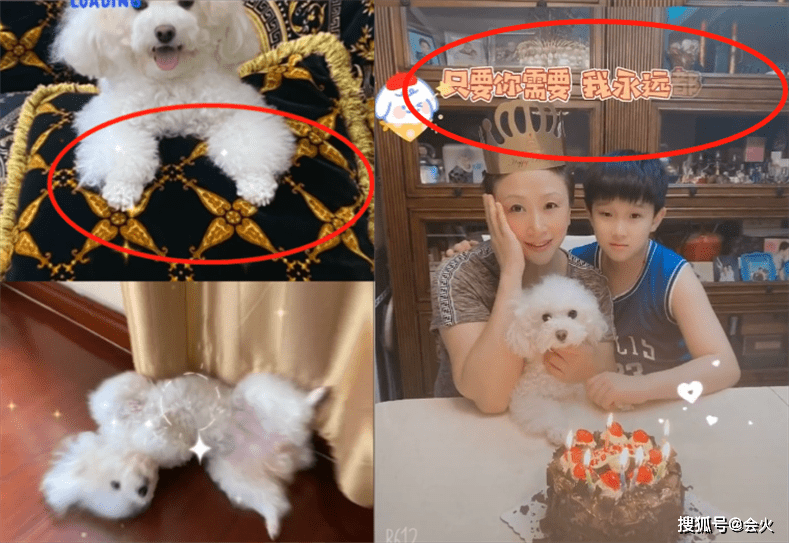 《武林外传》钱夫人晒近照,乡味足眼角皱纹多,和老公闪婚曾流产