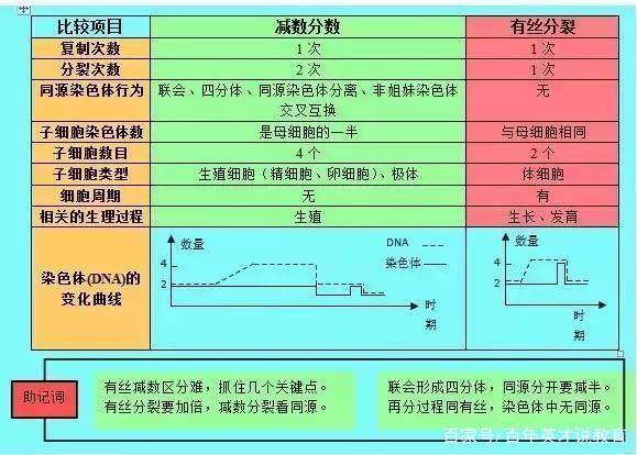 aad52c37dcc5471a803480bed1d95eb7.jpeg