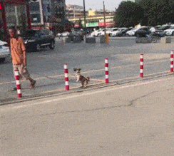 什么成语烟火_成语故事图片