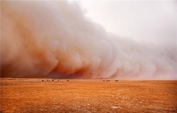 10年来最强沙尘暴来袭,是防护林失效?还是忽视了治沙!