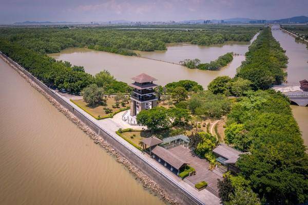 号称广州最后的湿地，被誉为广州绿肺，广州周边游玩的好去处