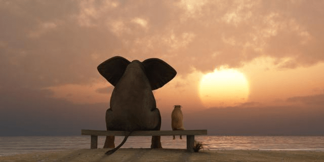 人怎么才能越来越顺 16331cc4bb624110966c8ade1da750ce.png