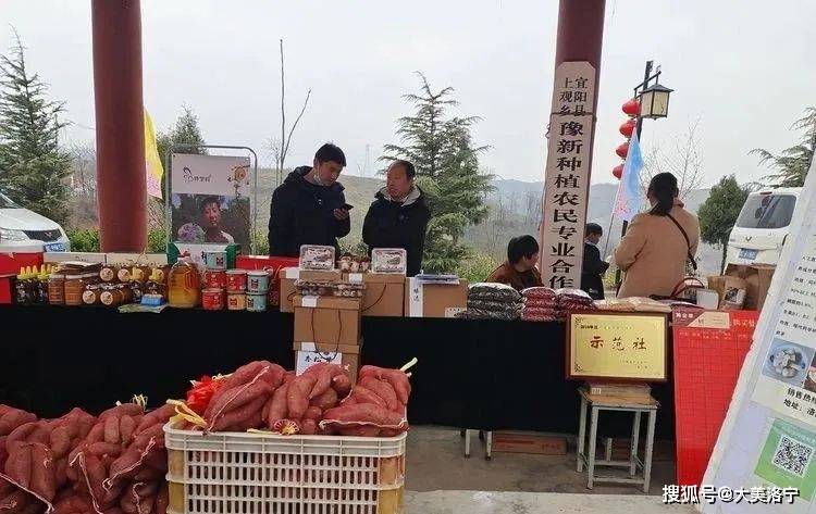洛宁程志民——桃缘上观(图14)