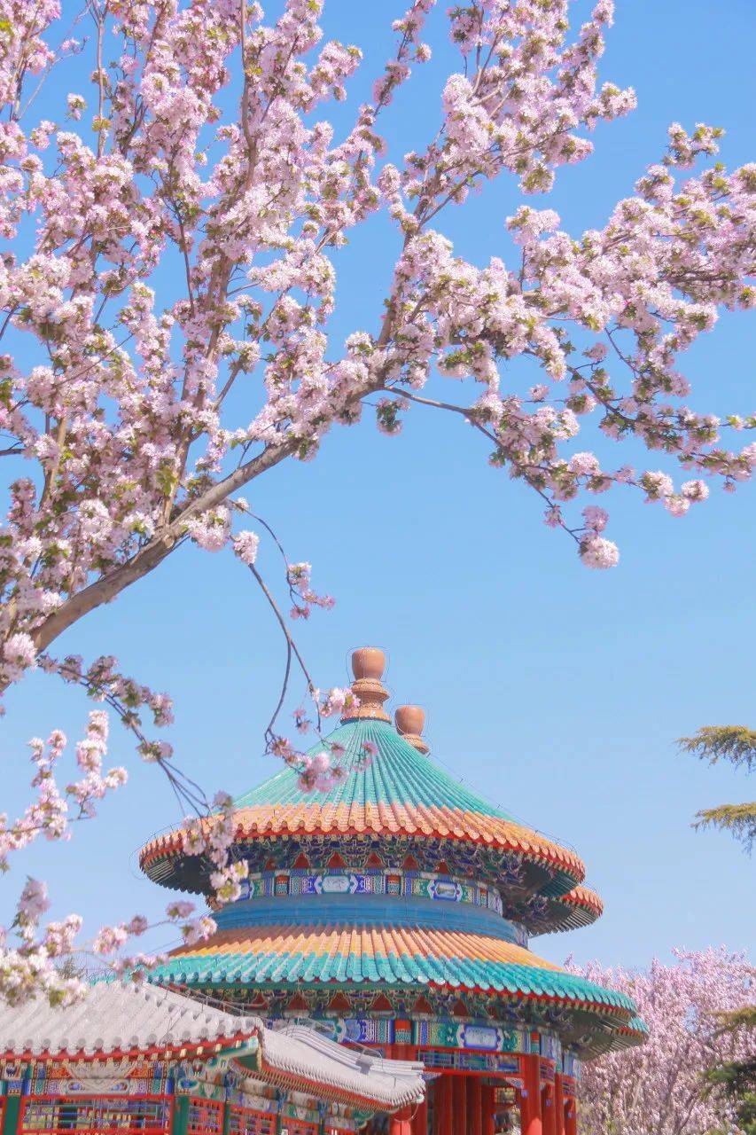 这4件事，就来告诉你：为什么要在春天去一次北京？
