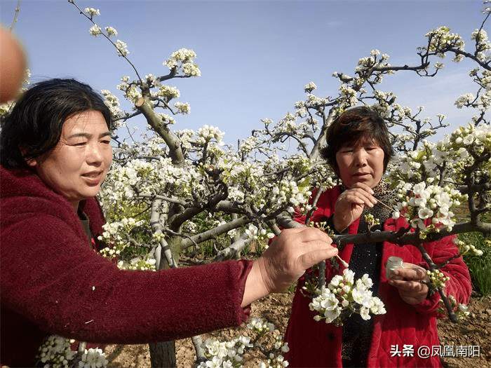 方城婚纱_方城烩面图片