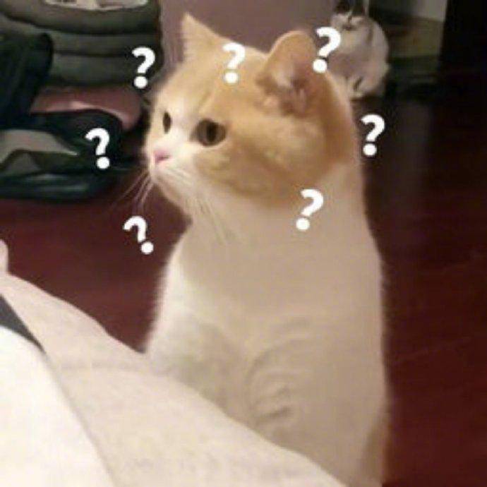 59114e283b264363b5c8d29246487b40.jpeg