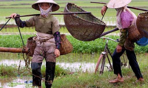 中国人去越南，看到越南农村女人的真实生活，她们到底靠什么生活