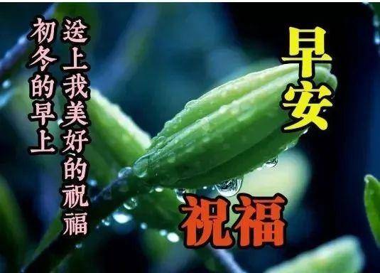 原創2021暖心早上好唯美圖片帶字關心朋友的早安問候語