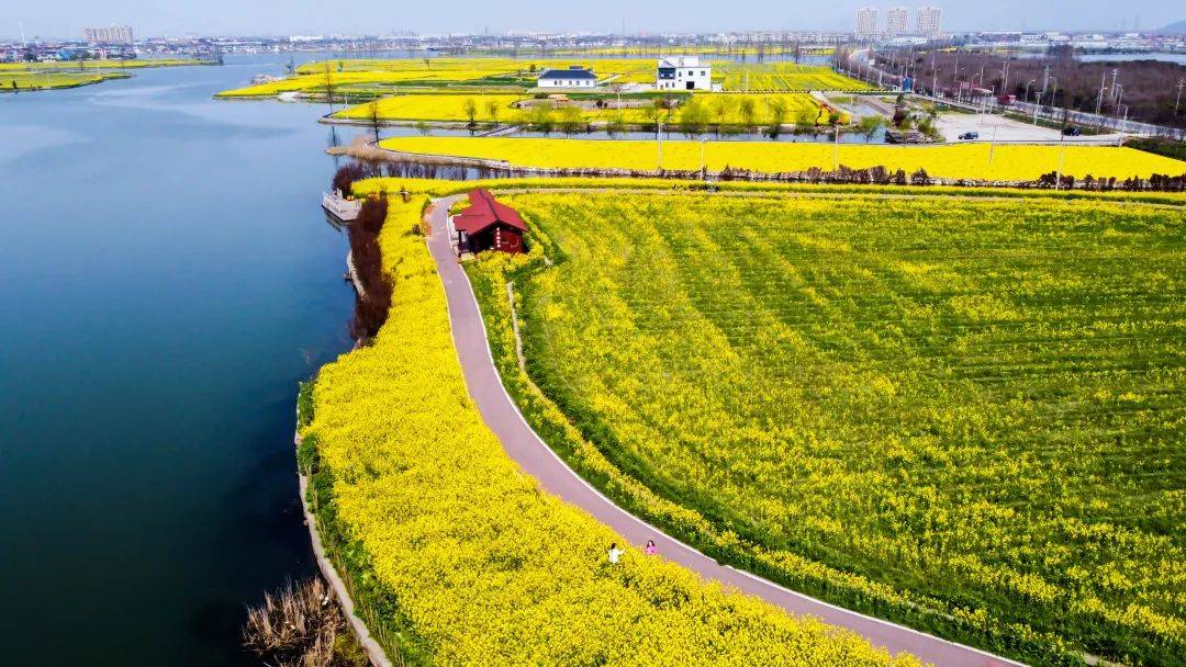 青山、绿水、万亩油菜花......绍兴东鉴湖，承包你的整个春天！