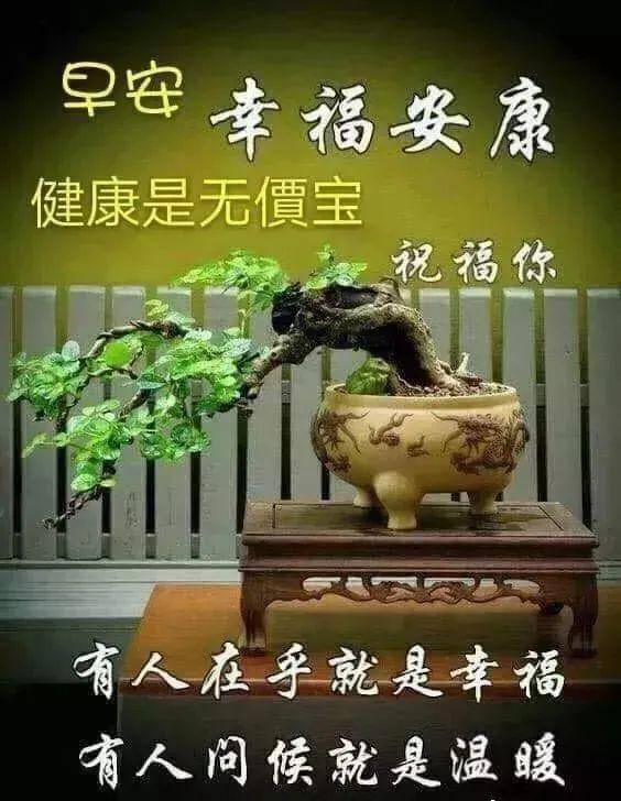 原創早安祝福美圖早上好問候句子早上好朋友特別漂亮早晨問候短信語