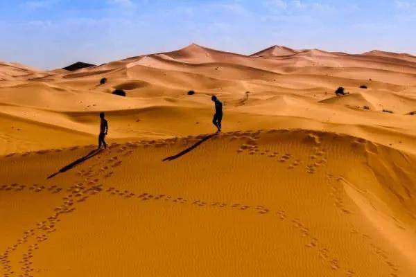 为何在沙漠迷路，最好不要走直线？