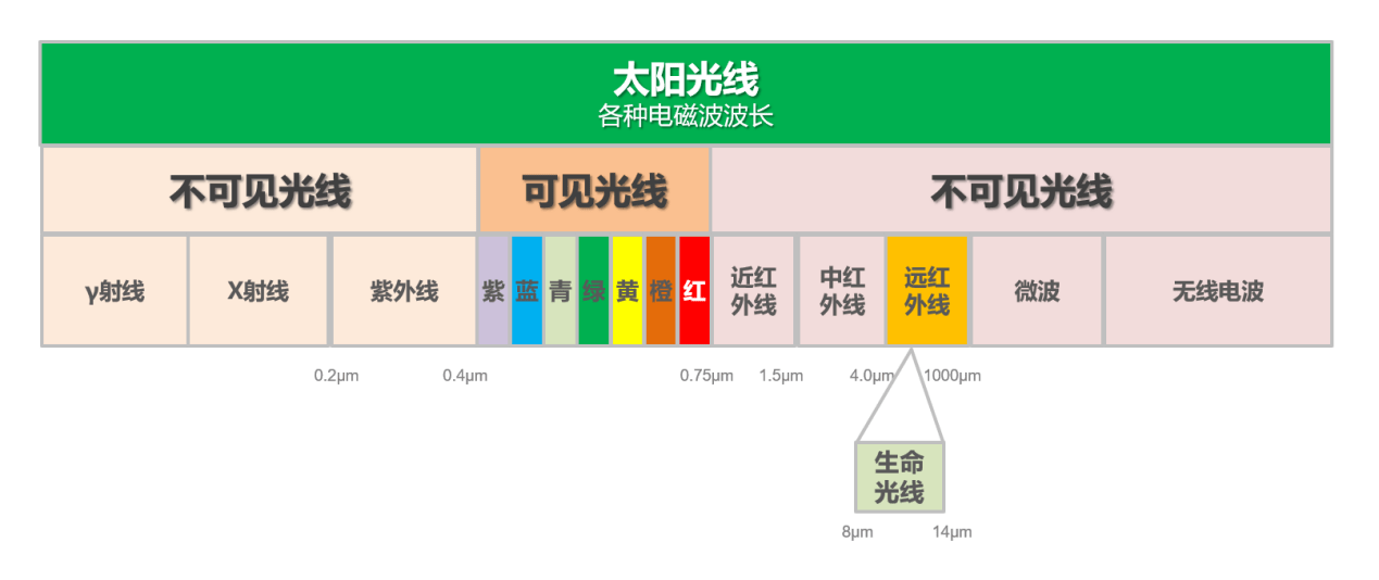 市场|看展AWE2021：苏泊尔推出远红外本釜电饭煲