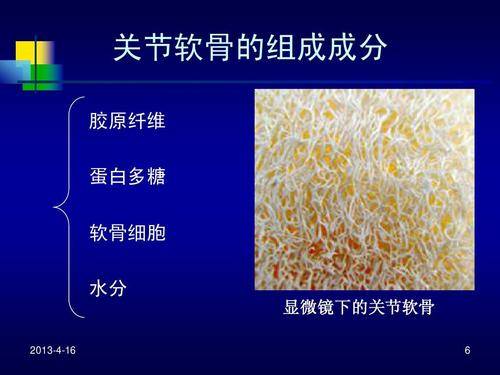 ly-induced骨關節炎軟骨細胞損傷和後續的進展