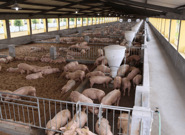 养殖用地新规定,建养殖场必须符合这几个条件!