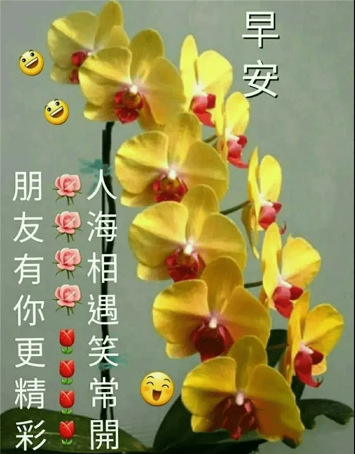 早上好表情包 早安祝福问候语 人生感悟经典语录