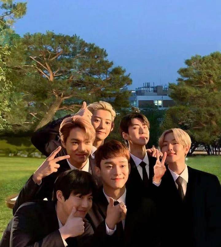 成员心不在团,公司拖后腿,exo巅峰期热度居然还不及blackpink?