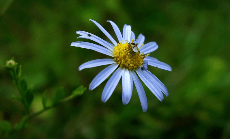 3月下旬 花开花伴 潇湘夜雨 3星座携手爱人破镜重圆 余生不负 恋人