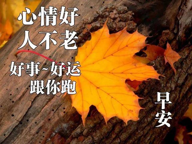最新版早上好的温馨祝福短信 微信朋友圈最美早上好问候语图片