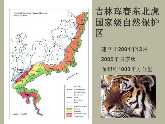 新疆虎分布图图片