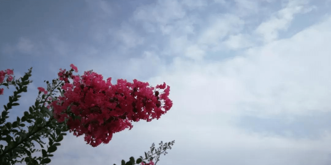 067c3c47f71a4b8e8d9b765e1d03ca88.png
