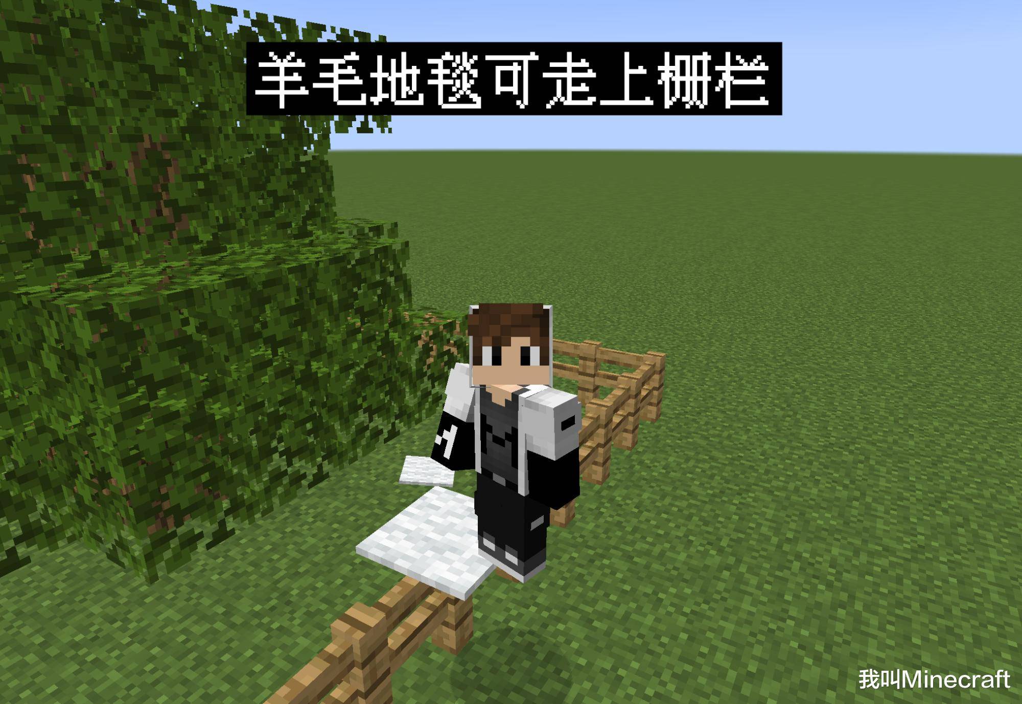 我的世界 老梗新翻 28个你可能不知道的minecraft 冷 知识 下界