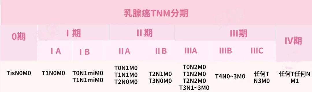 一文读懂乳腺癌病理报告哪些指标会影响治疗