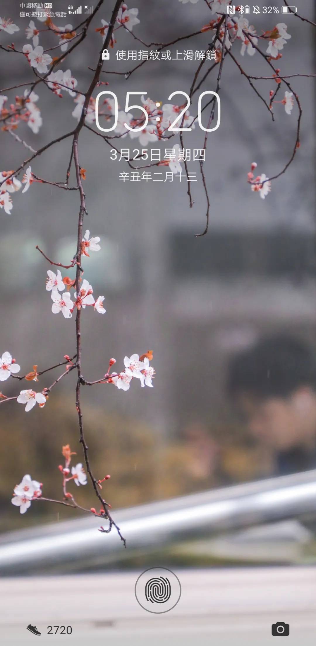 杠花奏手机壁纸 搜狗图片搜索