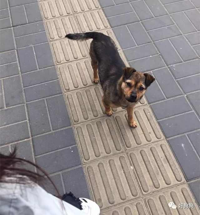 7f08c013f7dd4fd786617c7d6cf9daa4.jpeg