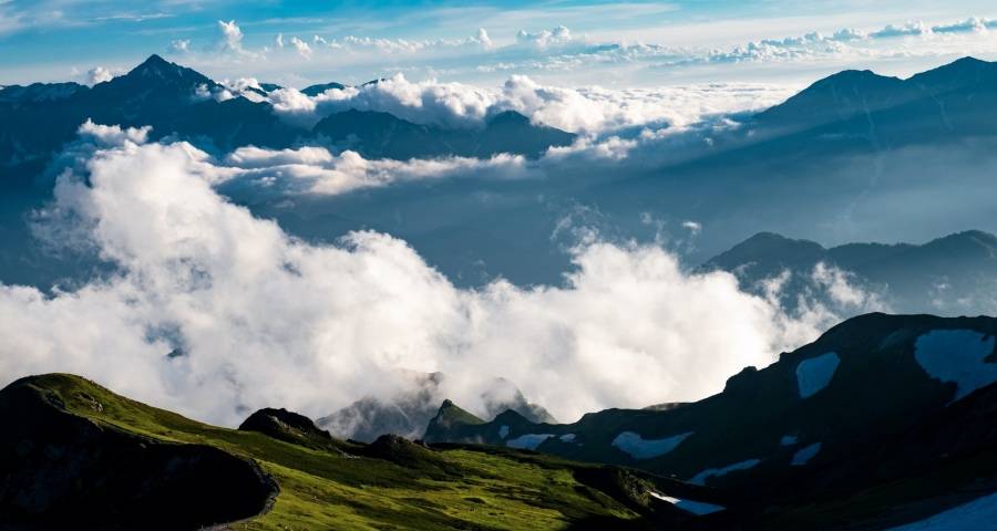 跳出行业看家电巨头最近都在忙什么?-家电圈官网