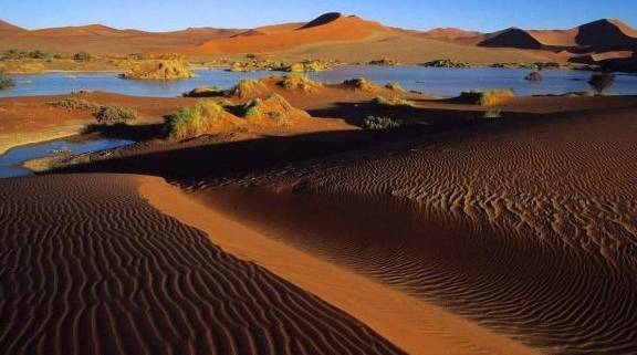 世界上最不正经的沙漠，降水量是撒哈拉的300倍，还有湖泊和鱼虾