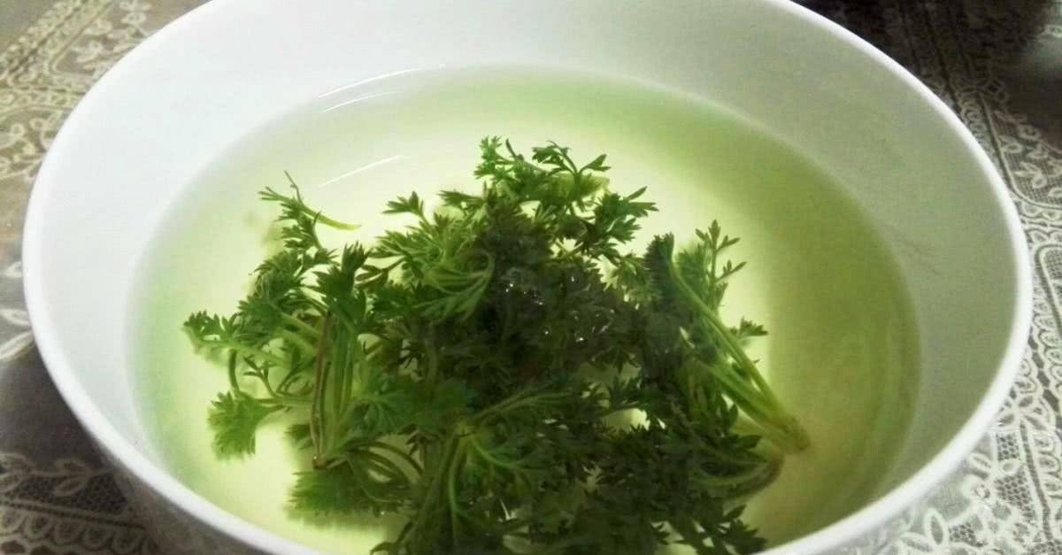 原创民间百岁老人说三月茵陈四月蒿五月六月砍柴烧指的是啥