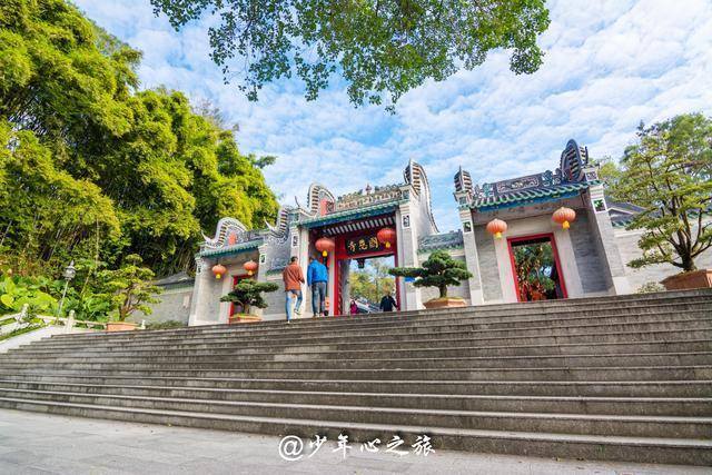 广东国恩寺藏一千年佛荔，已成当地旅游的焦点对象