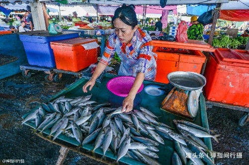 马来西亚沙巴海产丰富，当地鱼市海鲜物美价廉，让游客垂涎不已