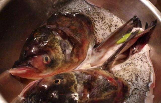 可以用什么去腥味 79d588467b7344b8ad305059f74b9080.jpeg