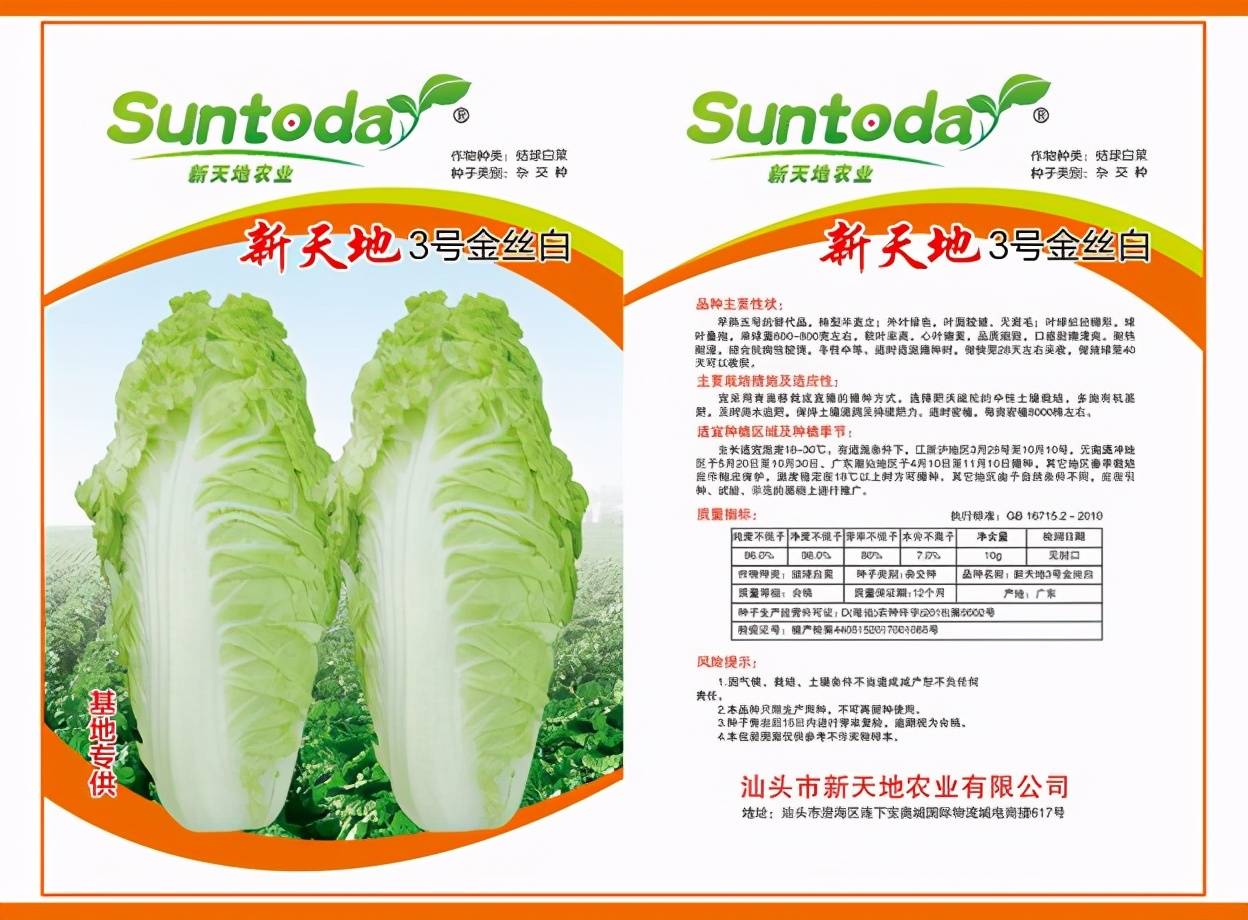 新天地3号金丝白小白菜种子快菜种子 栽培