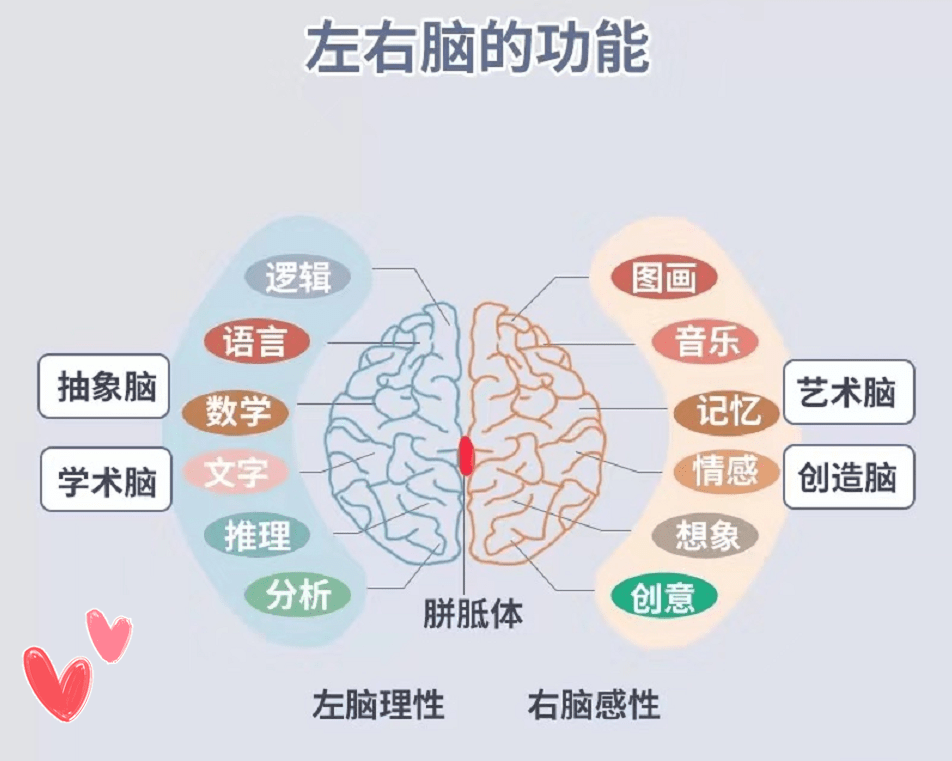 右腦優秀的孩子,大多有三個特徵表現,是個成為