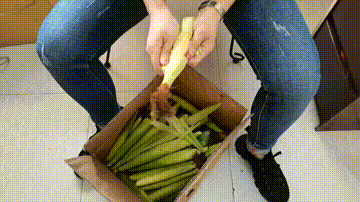 b10c4a440b41477ebbaa2c00b281f67f.gif