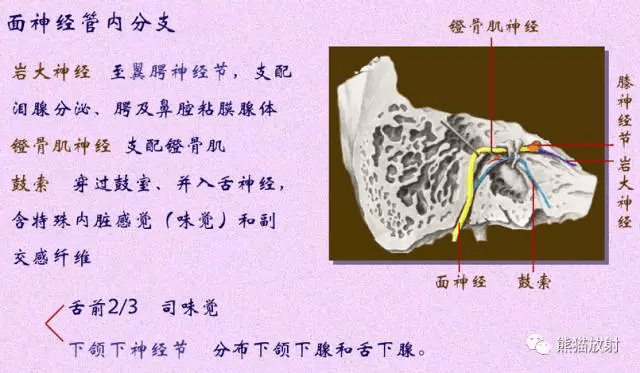 trigeminal nervev 三叉神經trochlear nerveiv 滑車神經oculomotor