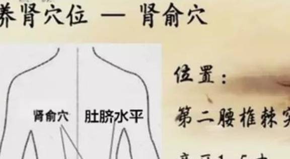 b1ce3f7a210d488abd2e703f834d7227.jpeg