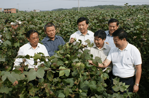 赵子建:扩大江西棉花种植区域,加快江西棉纺产业发展_纺织工业协会