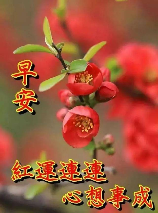 原创最新版温馨早上好问候语最新早安祝福问候语句