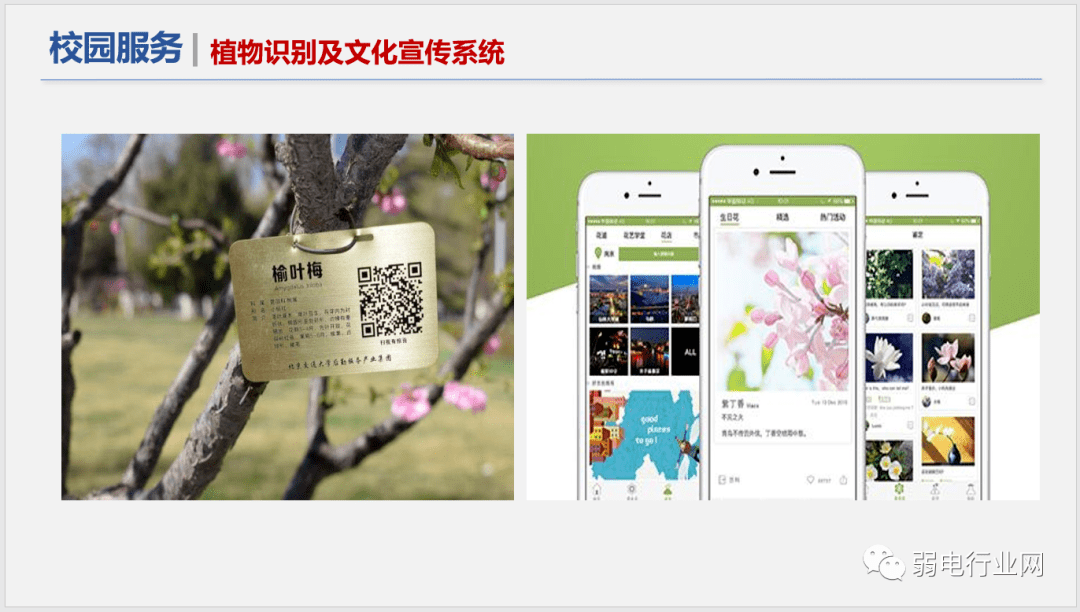 社区|“5G+”物联网智慧校园解决方案，非常全面